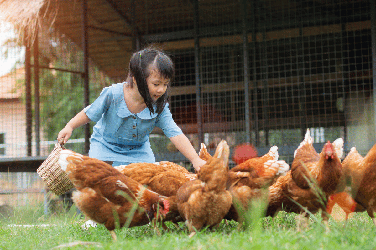 Where to Buy High-Quality Black Soldier Fly Larvae for Your Pet